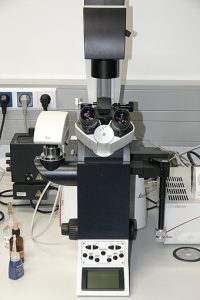 Leica DMI4000B fluorescence microscope