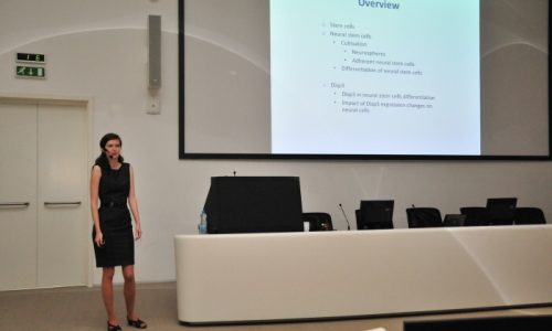 PhD konference 2012