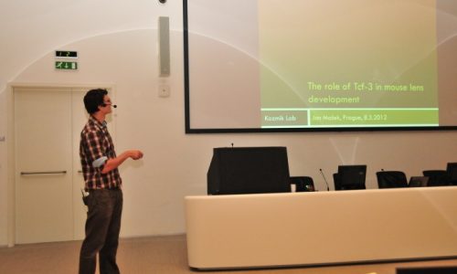 PhD konference 2012