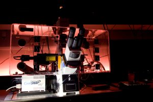 Inverted fluorescence microscope Delta Vision Core with laser photo-manipulation