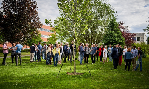 Památeční strom V. Pačese, který byl odhalen u příležitosti 60. výročí IMG