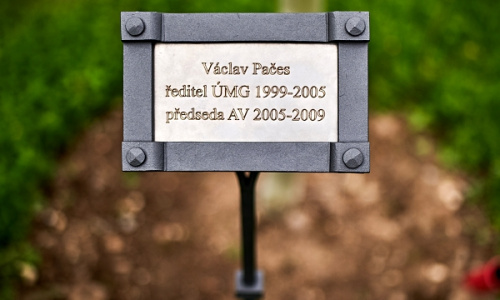 Plaque of the memorial tree of Václav Pačes