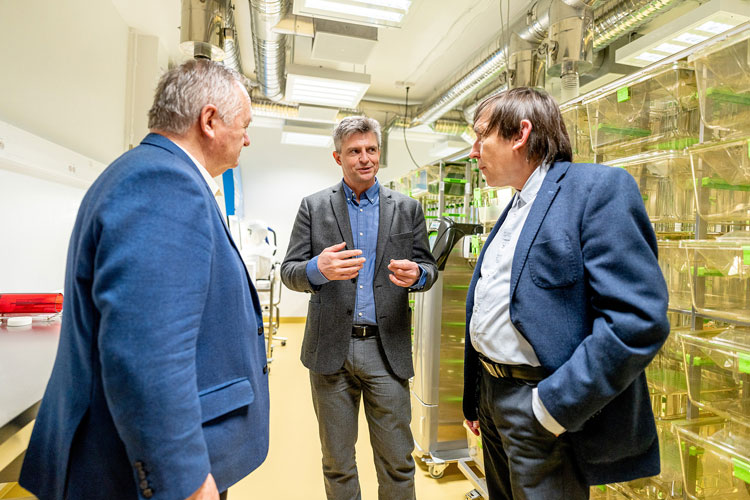 Discussion in the new BSL-3 laboratory - from left: Zdeněk Havlas - Vice-Chairman and member of the Board of the Academic Council of the Czech Academy of Sciences, Radislav Sedláček - Director of the Czech Centre for Phenogenomics, Petr Dráber, Director of the Institute of Molecular Genetics of the Czech Academy of Sciences