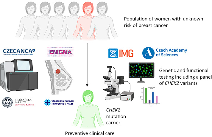 The new methodology that allowes the analysis of CHEK2 gene variants captured in cancer patients from all over the world in a model system in cell cultures.