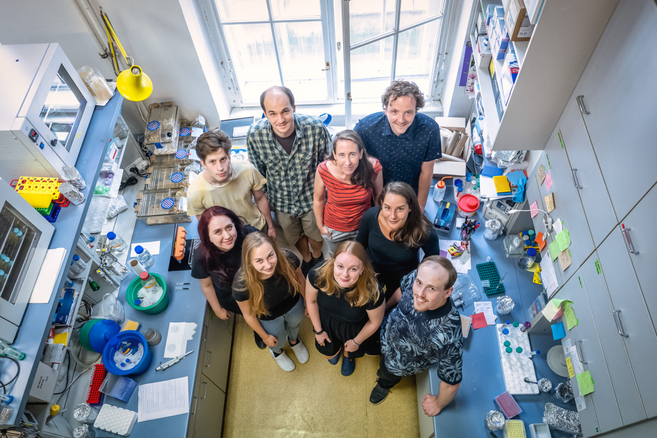 The team of the Laboratory of Microbial Immunology, which was founded three years ago by Jan Dobeš. Photo: Petr Jan Juračka